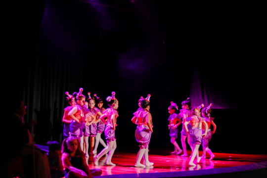 IMG-11