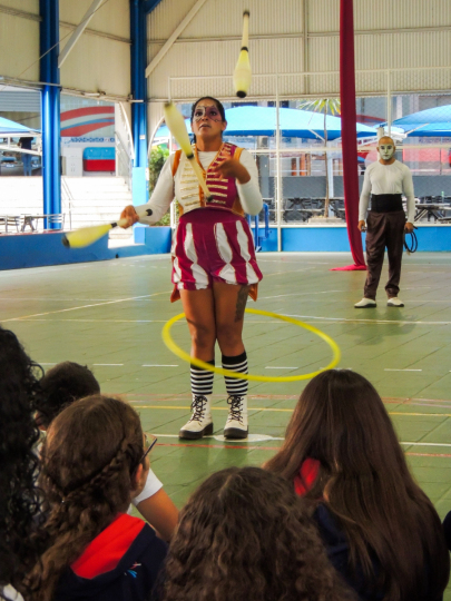 IMG-4